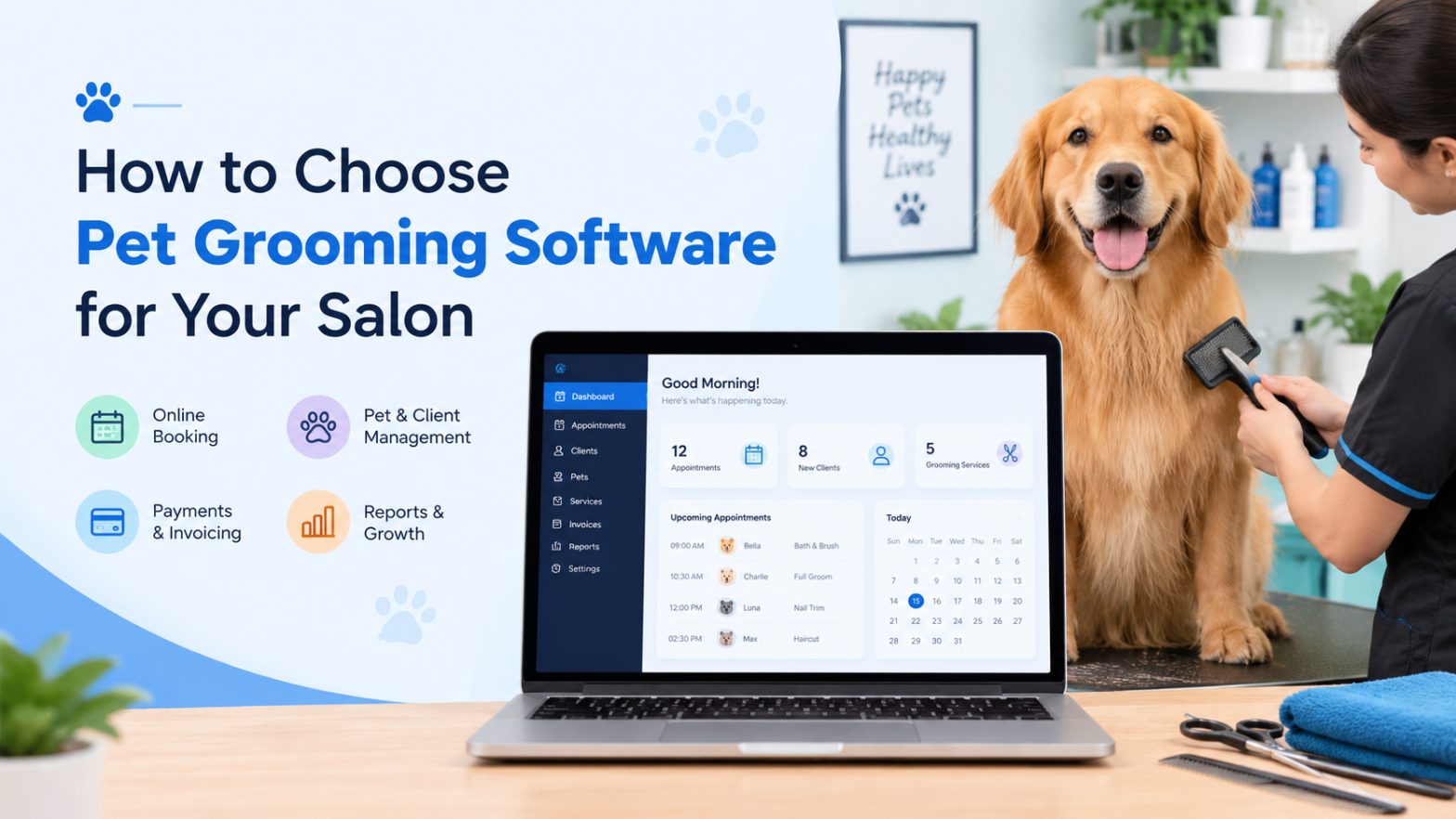 How to Choose Pet Grooming Software for Your Salon